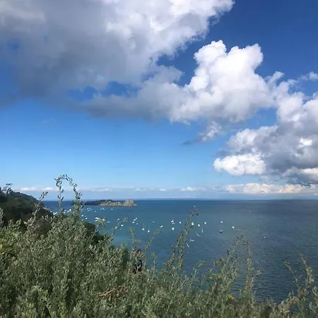 Rue Victor Hugo - Port De La Houle * Cancale